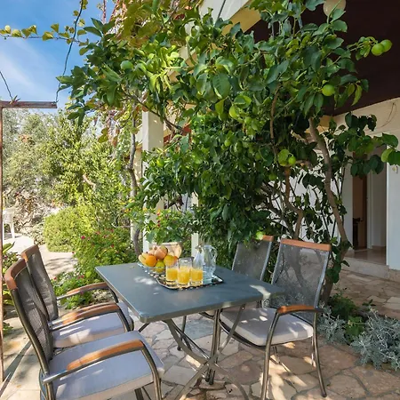 Roza Apartament
