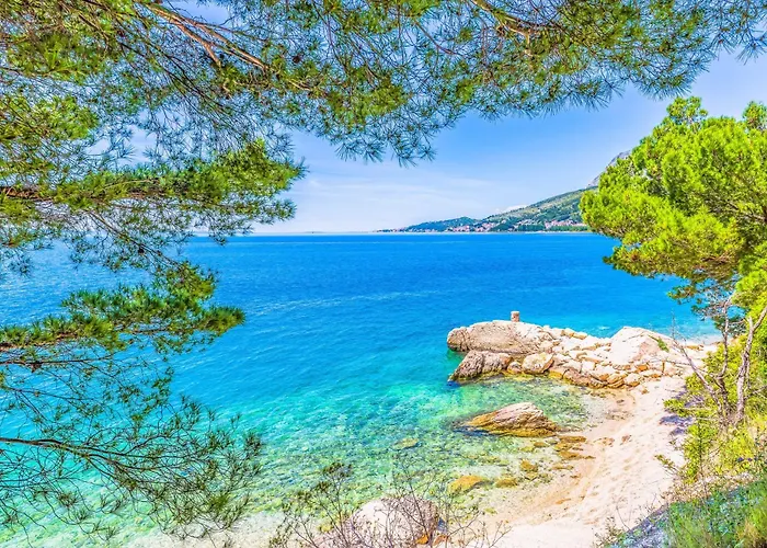 Roza * Omiš