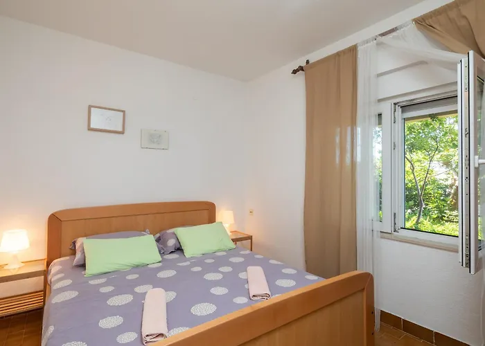 Roza Apartament *