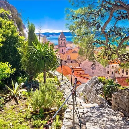Roza * Omis