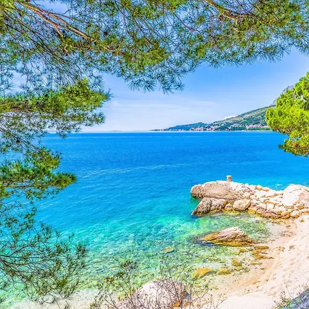 Roza * Omis