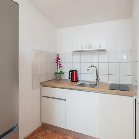 Roza Apartament *